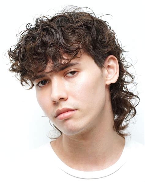 mullet curly hair|curly hair mullet guy.